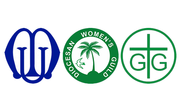 women organisation fwks2 enugu diocese women organisations